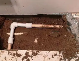 内乡测漏水哪家好